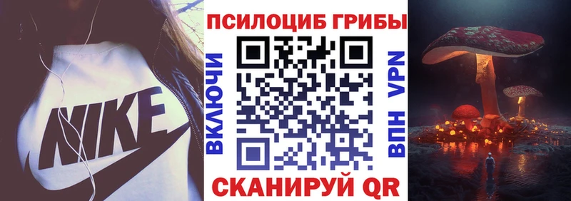 Галлюциногенные грибы Magic Shrooms  где найти наркотики  Никольск 